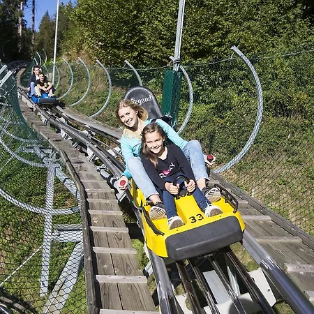 Alpenkoenig Konukevi 4*