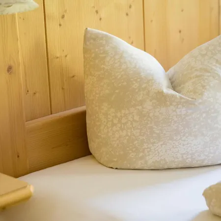 Affittacamere Alpenkoenig Zell am Ziller