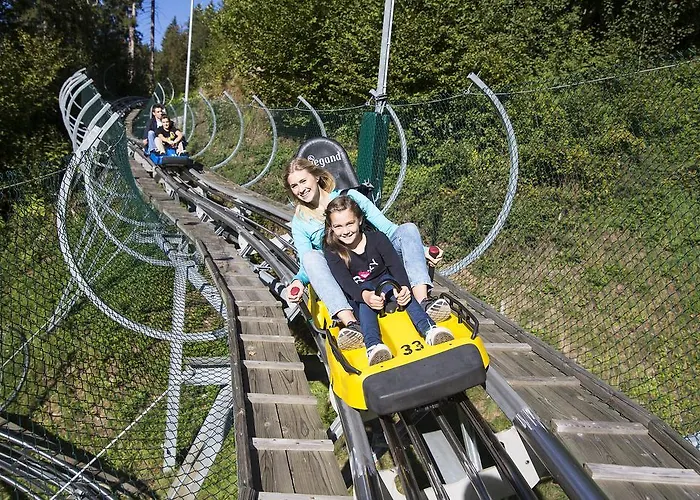 Alpenkoenig ゲストハウス 4*