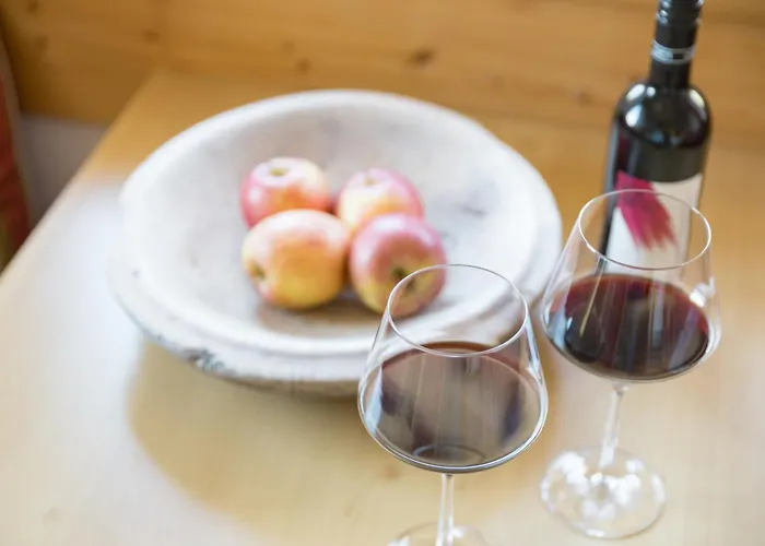 ゲストハウス Alpenkoenig