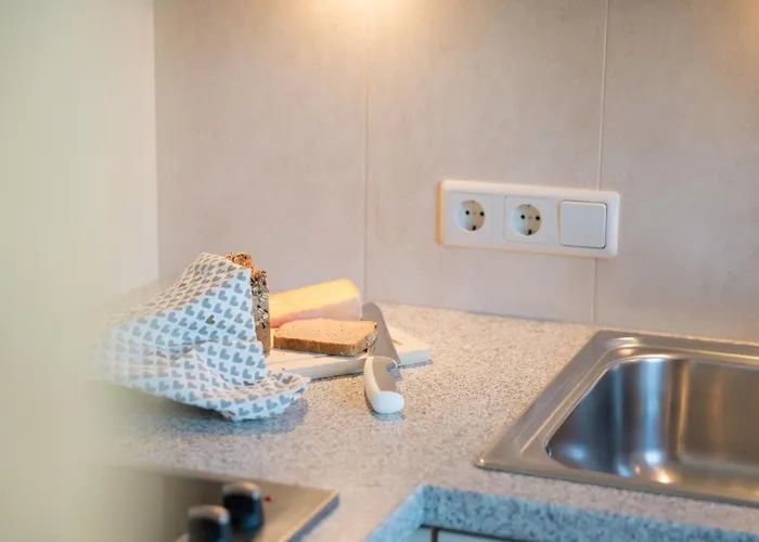 Alpenkoenig ゲストハウス ツェル・アム・ツィラー