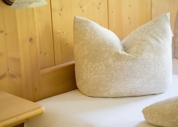 ゲストハウス Alpenkoenig ツェル・アム・ツィラー