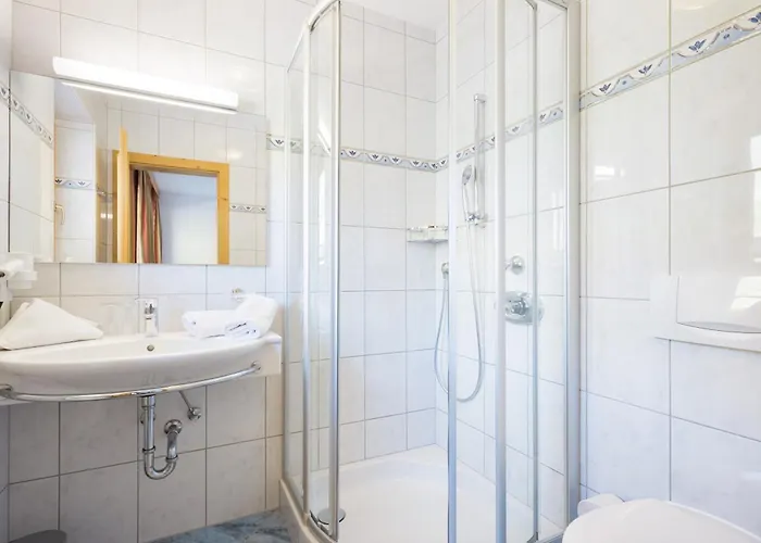 Alpenkoenig ツェル・アム・ツィラー