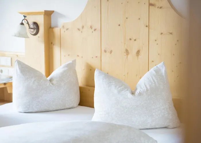 ゲストハウス Alpenkoenig ツェル・アム・ツィラー