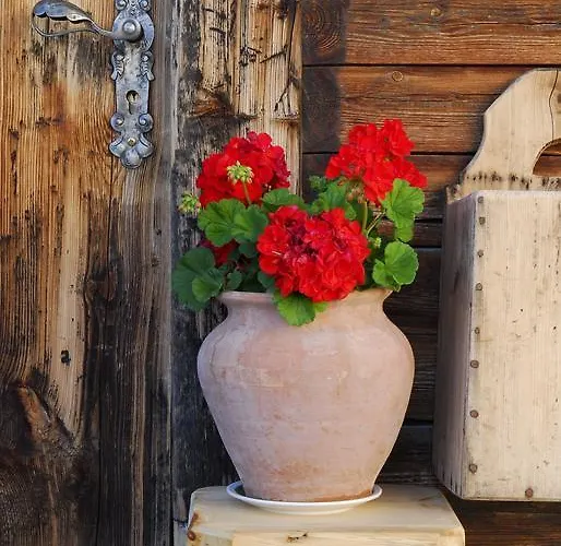 Alpenkoenig 4* ツェル・アム・ツィラー