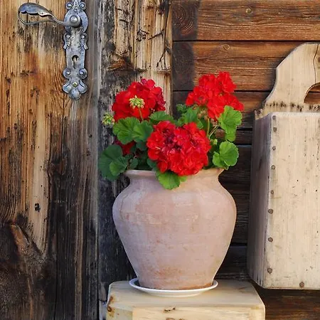 Alpenkoenig 4* Zell am Ziller